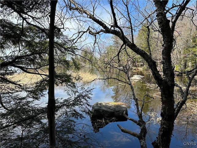 E Shore Rd, Stratford, NY 13470