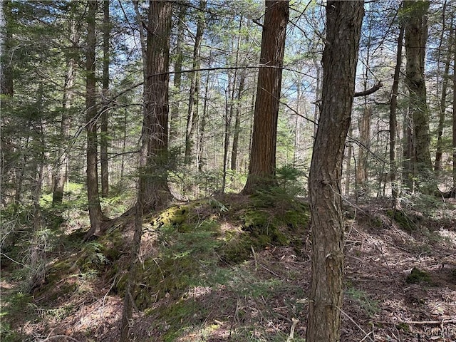 E Shore Rd, Stratford, NY 13470