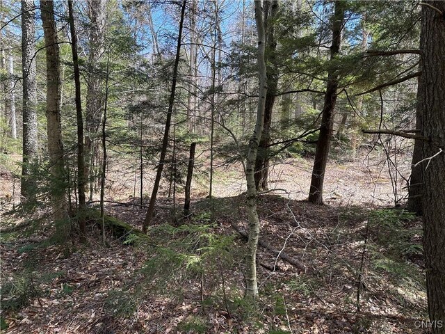 E Shore Rd, Stratford, NY 13470