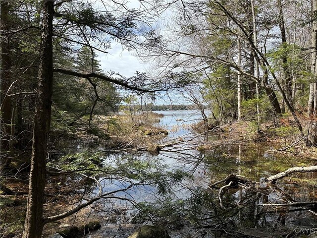 E Shore Rd, Stratford, NY 13470