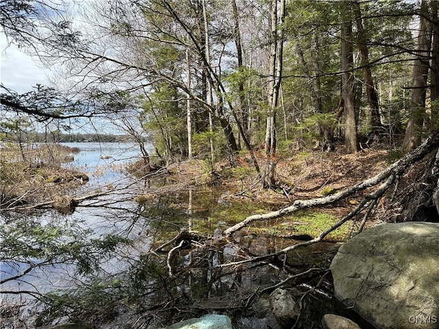 E Shore Rd, Stratford, NY 13470