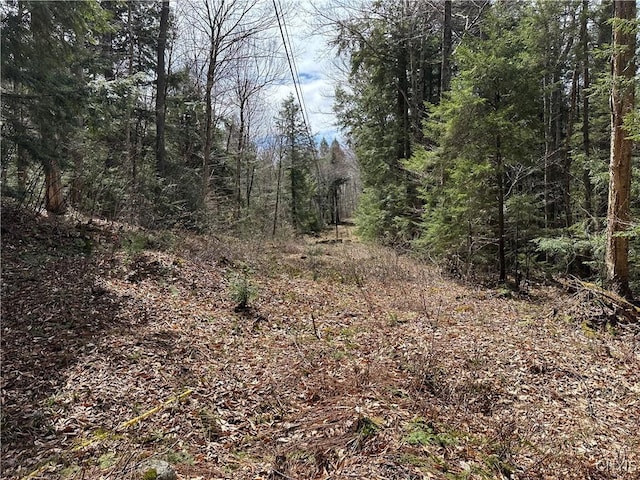 E Shore Rd, Stratford, NY 13470
