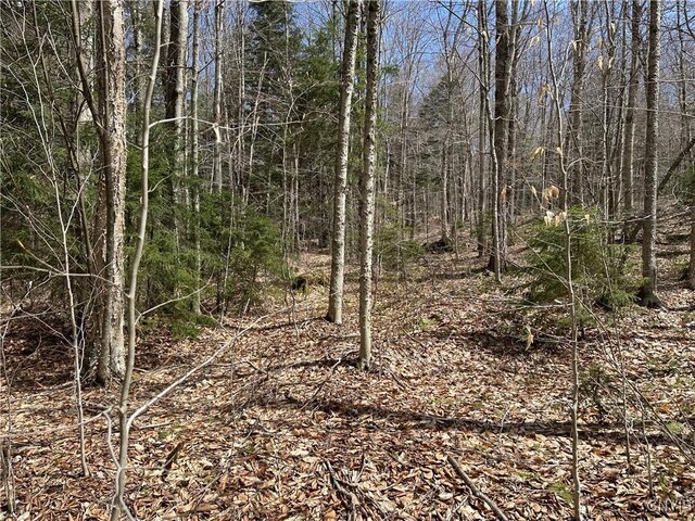 E Shore Rd, Stratford, NY 13470