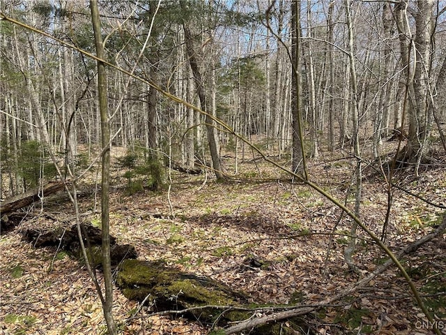 E Shore Rd, Stratford, NY 13470