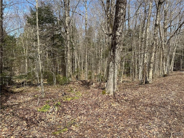 E Shore Rd, Stratford, NY 13470
