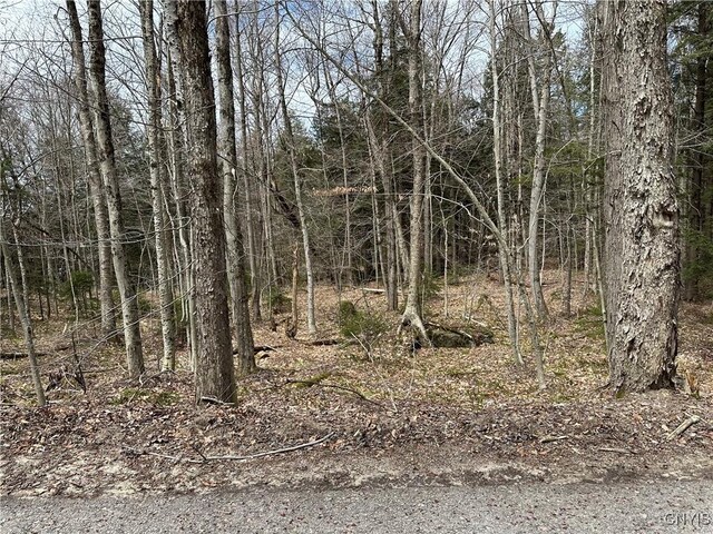 E Shore Rd, Stratford, NY 13470