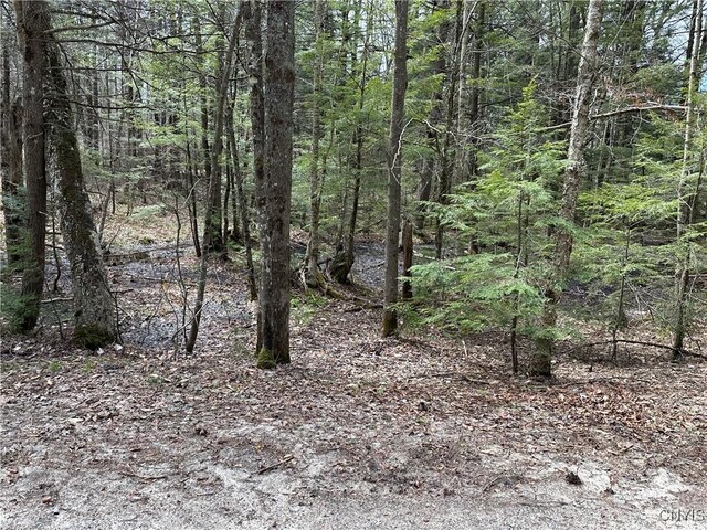E Shore Rd, Stratford, NY 13470