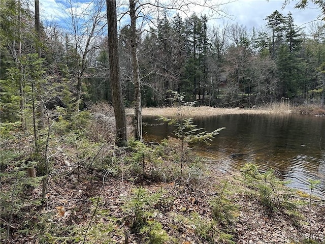 E Shore Rd, Stratford, NY 13470