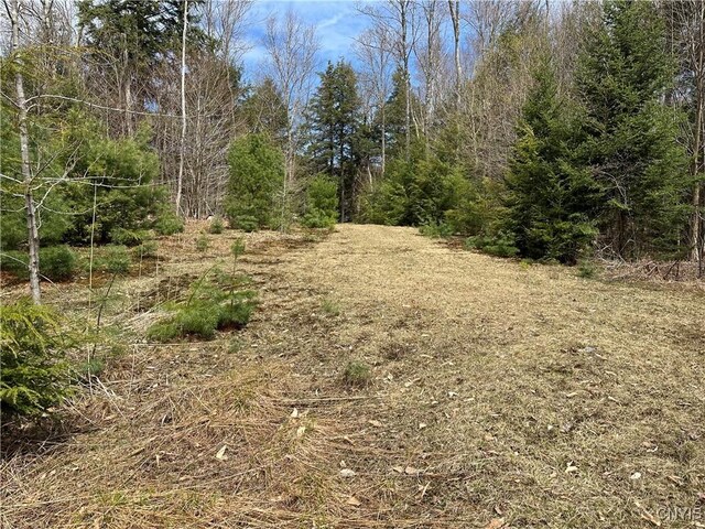 E Shore Rd, Stratford, NY 13470
