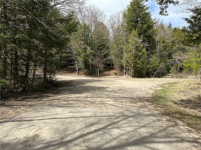 E Shore Rd, Stratford, NY 13470