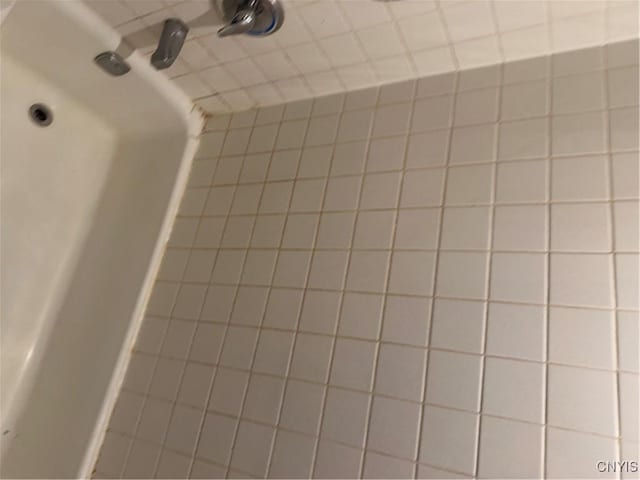 interior details with a tub