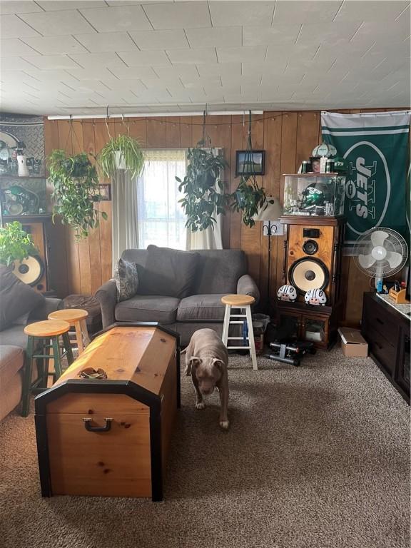 view of carpeted living area