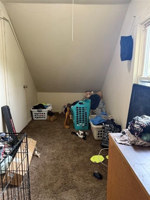 294 Robert St, Southport, NY 14904 - additional living space featuring carpet and lofted ceiling