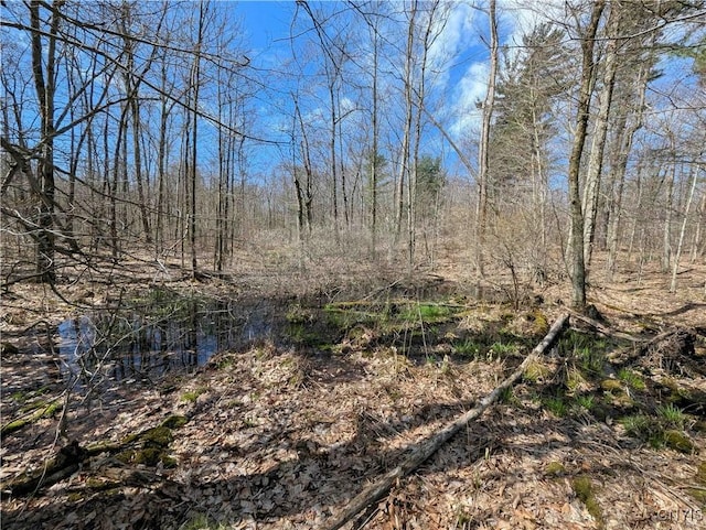 Swartz Rd, Springwater, NY 14437