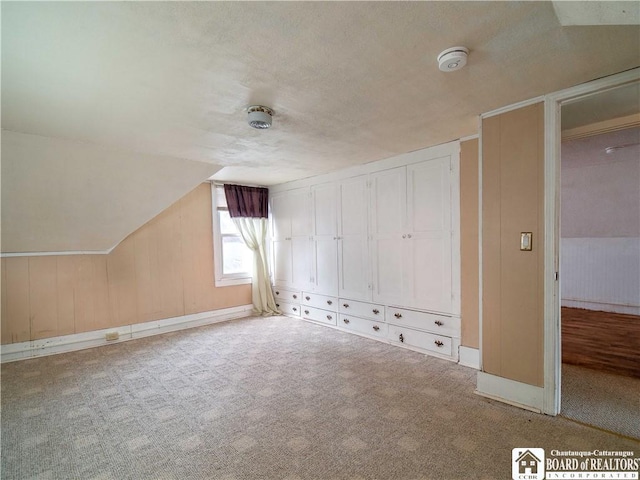 53 W 5th St, Dunkirk-City, NY 14048 - additional living space featuring carpet floors and vaulted ceiling