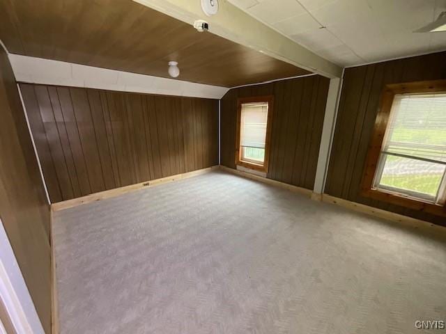 empty room with plenty of natural light, wood walls, baseboards, and light carpet