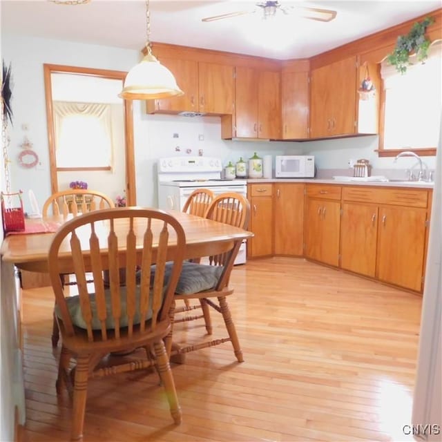kitchen featuring light wood-style floors, white appliances, light countertops, a ceiling fan, and pendant lighting