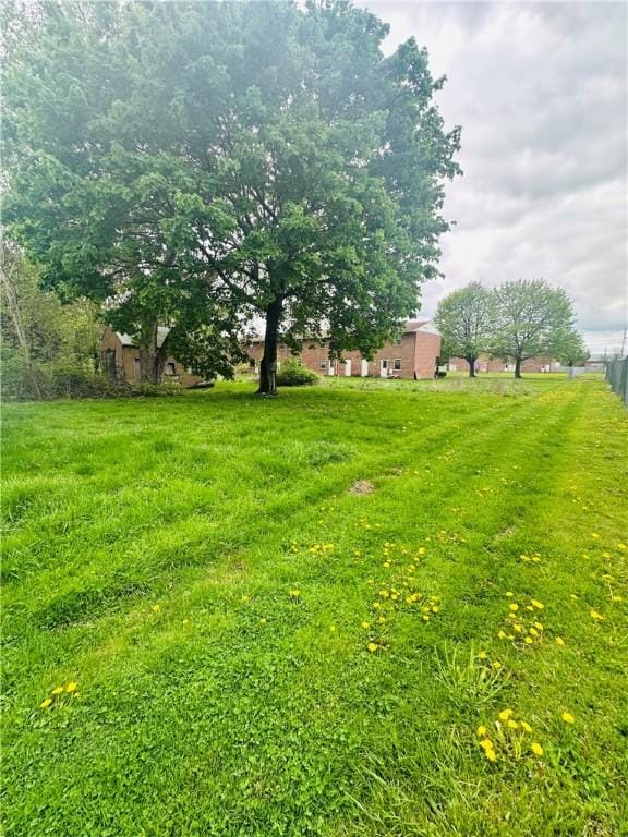 517 High St, Elmira-City, NY 14901 - view of yard