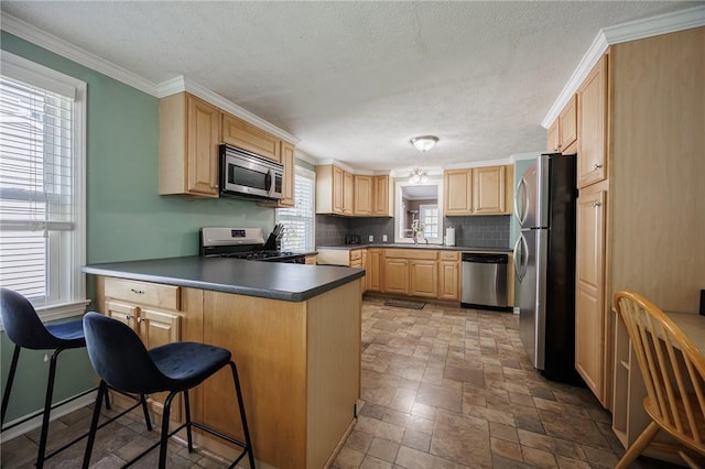 kitchen featuring a peninsula, appliances with stainless steel finishes, light brown cabinets, and a healthy amount of sunlight