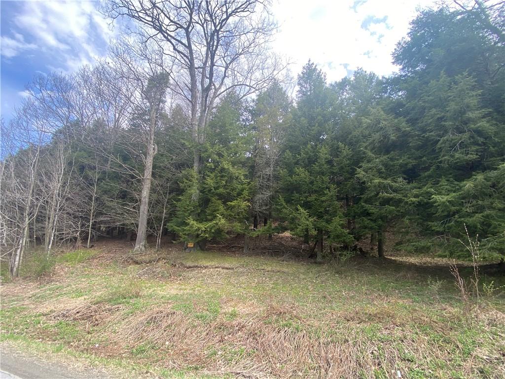 LotB Piermott Lane, Hartwick, NY 13348 - photo 1