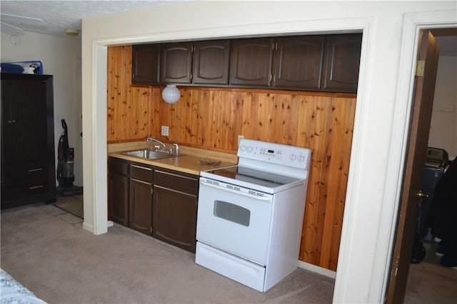 86 Everwild Ln, Greece, NY 14616 - kitchen featuring wooden walls, electric range, dark brown cabinetry, light colored carpet, and a sink