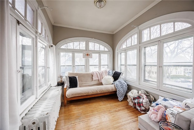 sunroom featuring ornamental molding and wood finished floors