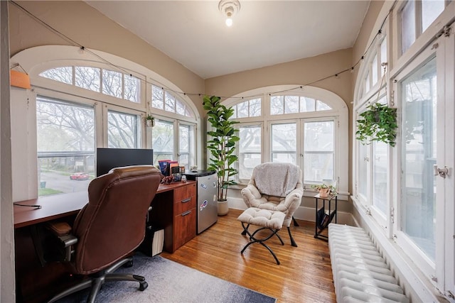 home office featuring a healthy amount of sunlight, radiator, and light wood-type flooring
