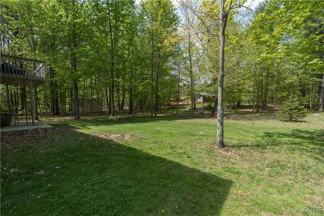 31159 Chelsea Dr, Rutland, NY 13612 - photo 32