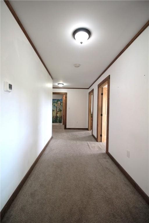 200 Mertz Rd, Bainbridge, NY 13733 - hall with baseboards and light colored carpet