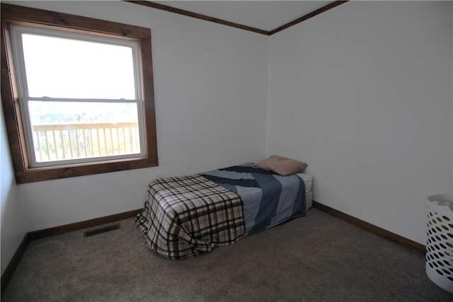 200 Mertz Rd, Bainbridge, NY 13733 - bedroom with crown molding, baseboards, visible vents, and multiple windows