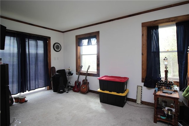 200 Mertz Rd, Bainbridge, NY 13733 - misc room featuring crown molding, plenty of natural light, and carpet