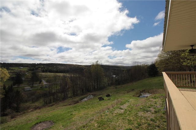 200 Mertz Rd, Bainbridge, NY 13733 - view of yard