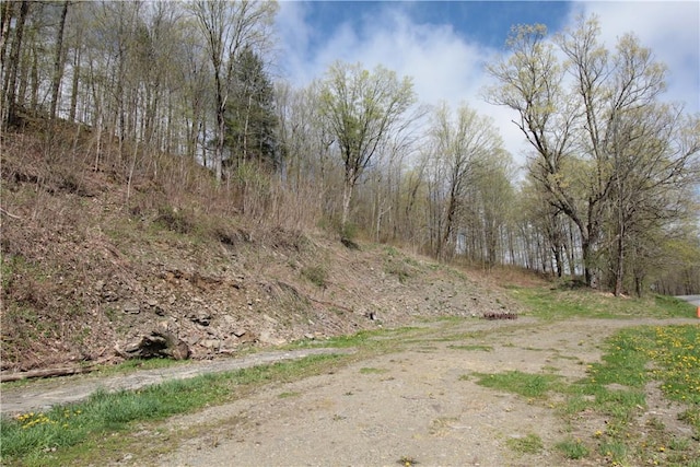 200 Mertz Rd, Bainbridge, NY 13733 - view of landscape