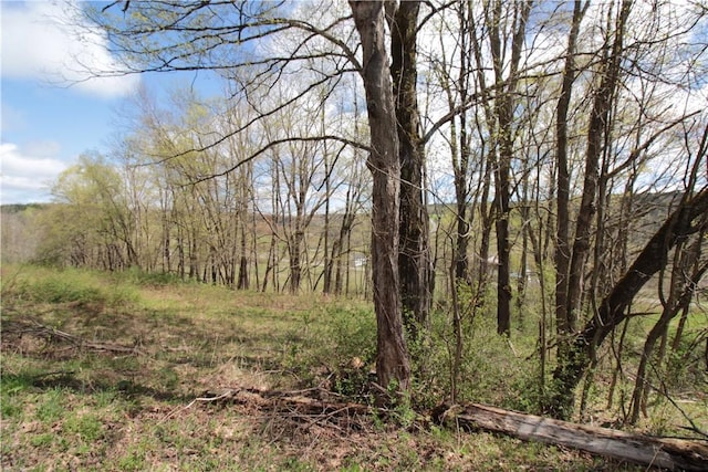 200 Mertz Rd, Bainbridge, NY 13733 - view of local wilderness with a forest view