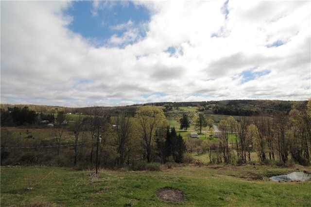 200 Mertz Rd, Bainbridge, NY 13733 - exterior space
