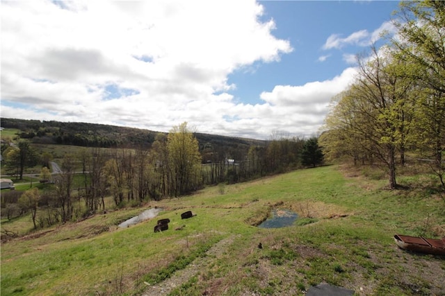 200 Mertz Rd, Bainbridge, NY 13733 - view of yard