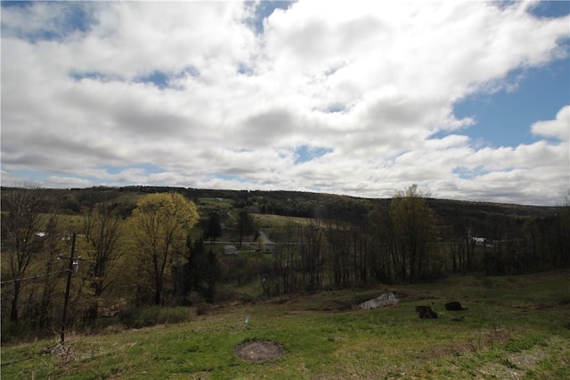 200 Mertz Rd, Bainbridge, NY 13733 - property view of mountains with a rural view