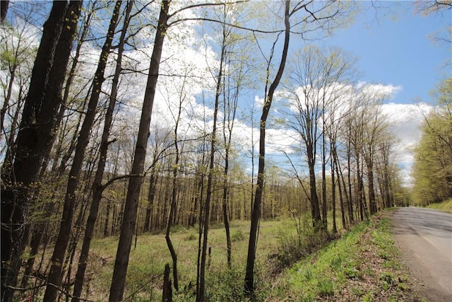 200 Mertz Rd, Bainbridge, NY 13733 - exterior space featuring a view of trees