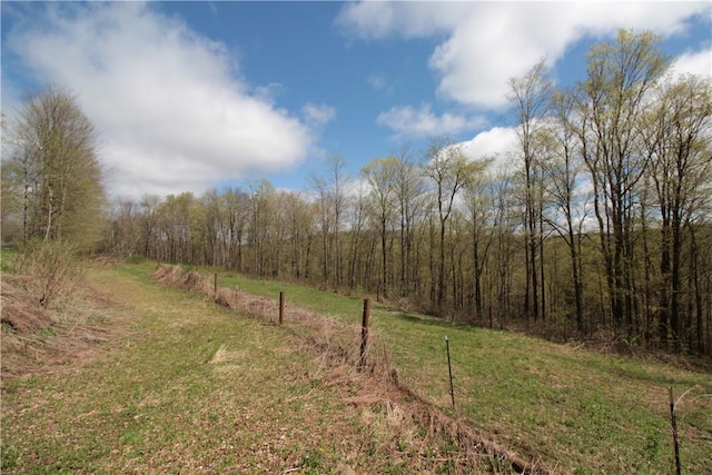 200 Mertz Rd, Bainbridge, NY 13733 - view of nature with a view of trees
