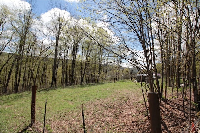 200 Mertz Rd, Bainbridge, NY 13733 - view of yard featuring a view of trees
