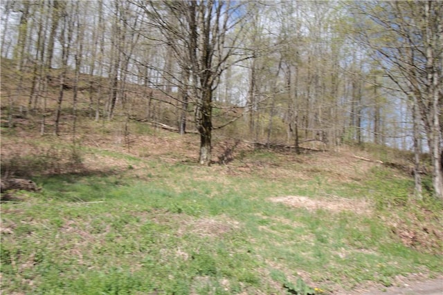 200 Mertz Rd, Bainbridge, NY 13733 - view of landscape with a wooded view
