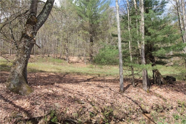 200 Mertz Rd, Bainbridge, NY 13733 - view of local wilderness with a wooded view