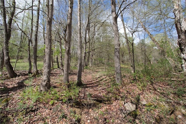 200 Mertz Rd, Bainbridge, NY 13733 - view of nature with a view of trees