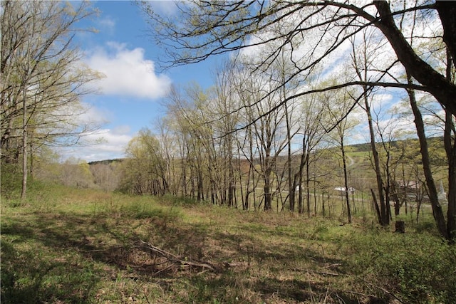 200 Mertz Rd, Bainbridge, NY 13733 - view of local wilderness