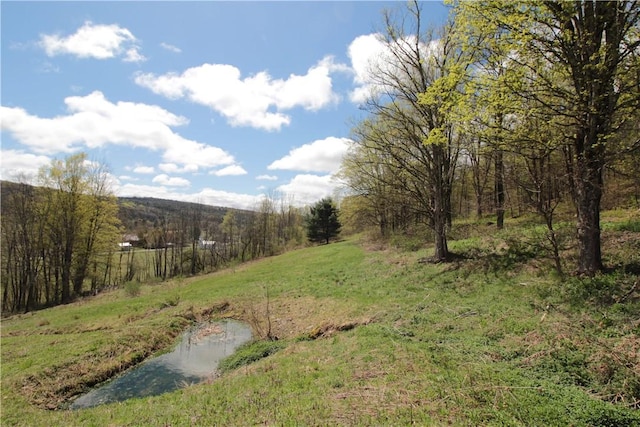 200 Mertz Rd, Bainbridge, NY 13733 - view of yard featuring a forest view