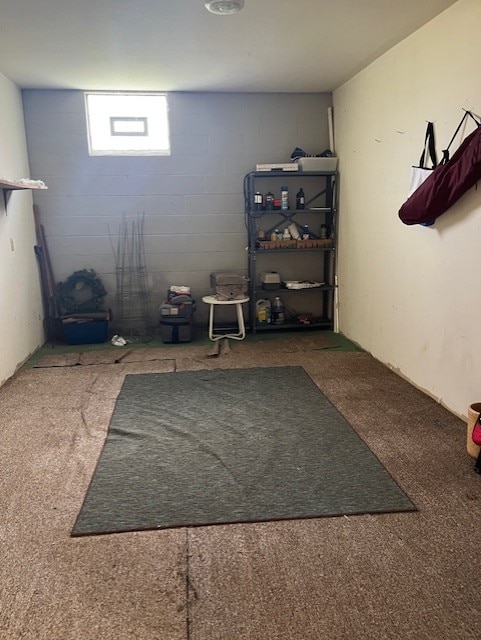 basement featuring carpet