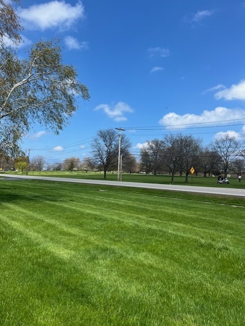 view of home's community with a yard