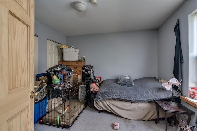 25082 Ridge Rd, Watertown-Town, NY 13601 - view of carpeted bedroom