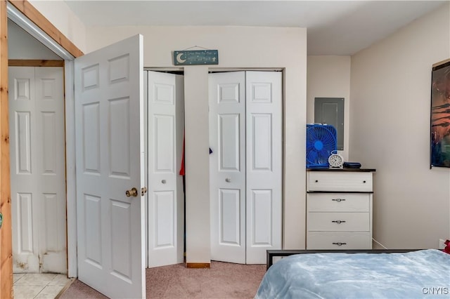 25082 Ridge Rd, Watertown-Town, NY 13601 - bedroom featuring multiple closets and light carpet