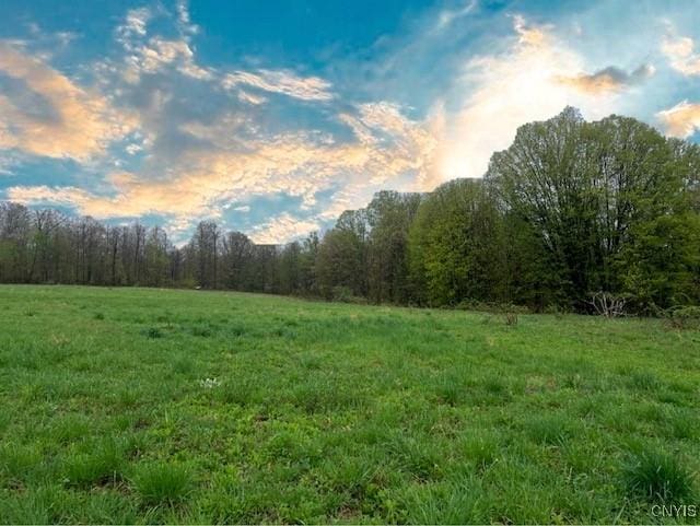 view of nature with a view of trees and a rural view
